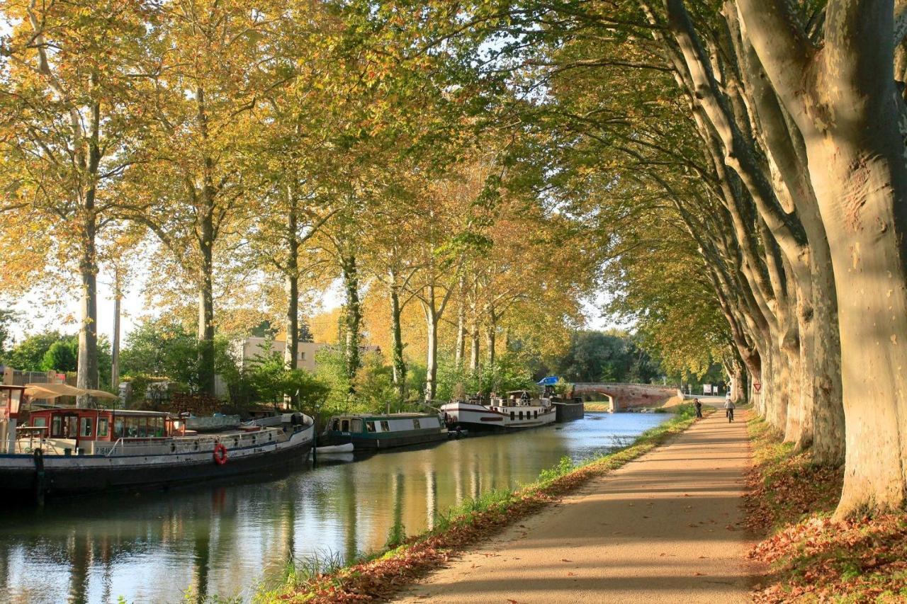Le Riquet'S - Toulouse Hypercentre Apartment ภายนอก รูปภาพ